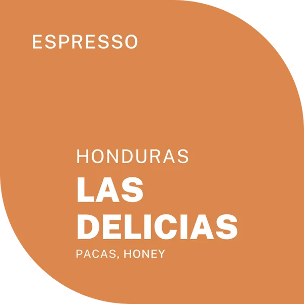 coffee from honduras